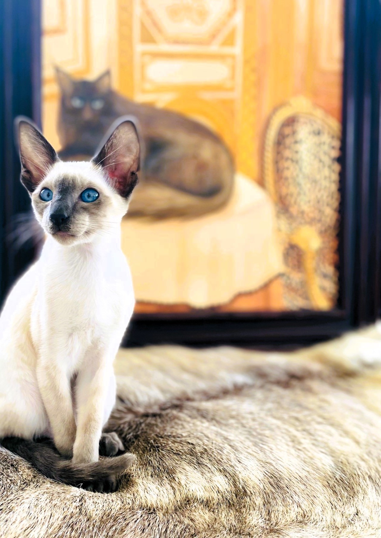 Karam, chaton siamois seal point devant un tableau